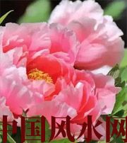 陕西预示你财运上升，姻缘可成的梦境，快来看看吧！