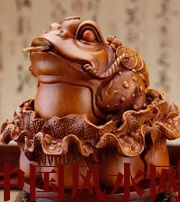陕西解读金蟾最合适的位置，这样摆放更招财！